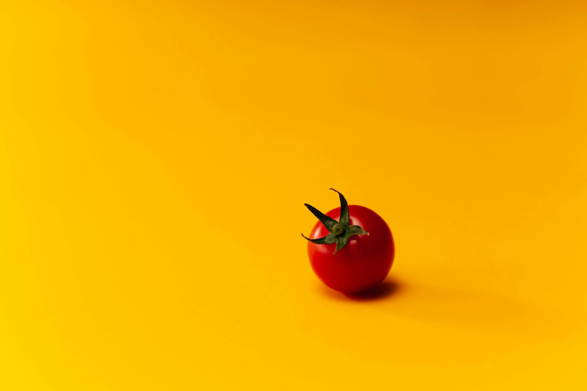 Minimalist image of a fresh tomato on a vibrant yellow background, perfect for food photography.
