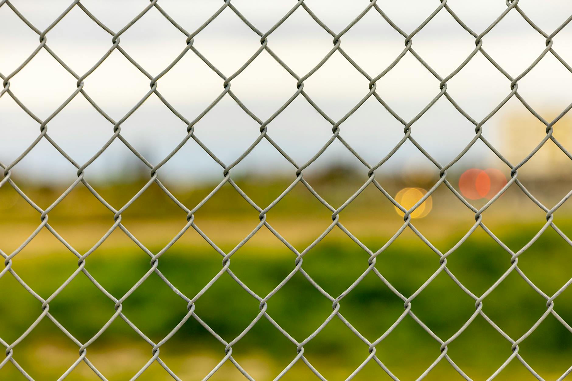 A detailed view of a metal chain link fence with blurred greenery and lights in the background.