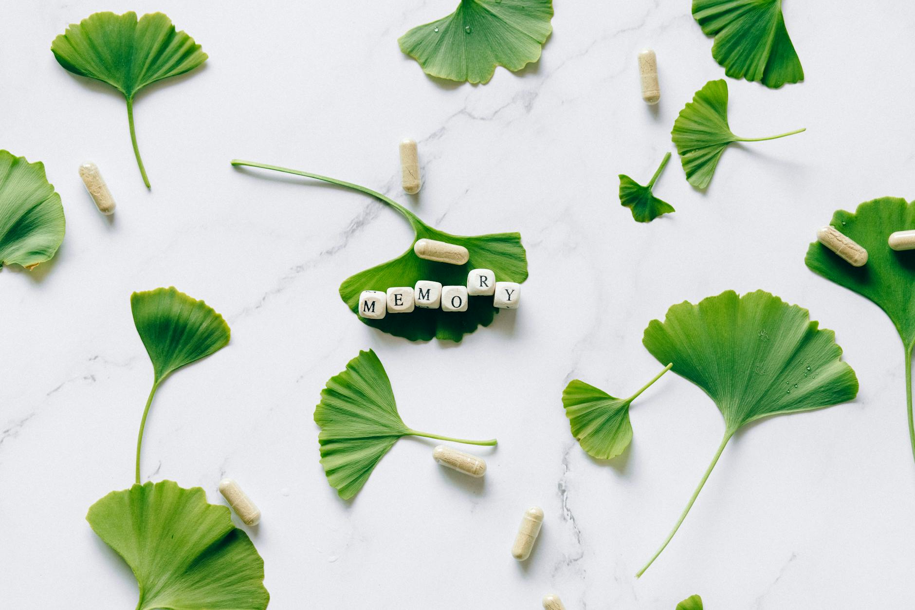 Flat lay of ginkgo leaves with memory capsules on marble surface.